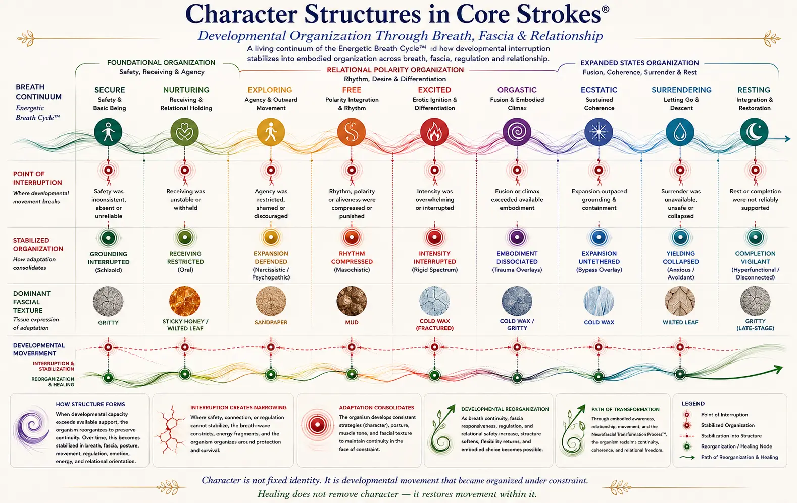 Diagram of Character Structures in Core Strokes® showing developmental interruptions in breath, fascia organization, relational adaptation, and embodied regulation across the Energetic Breath Cycle™.