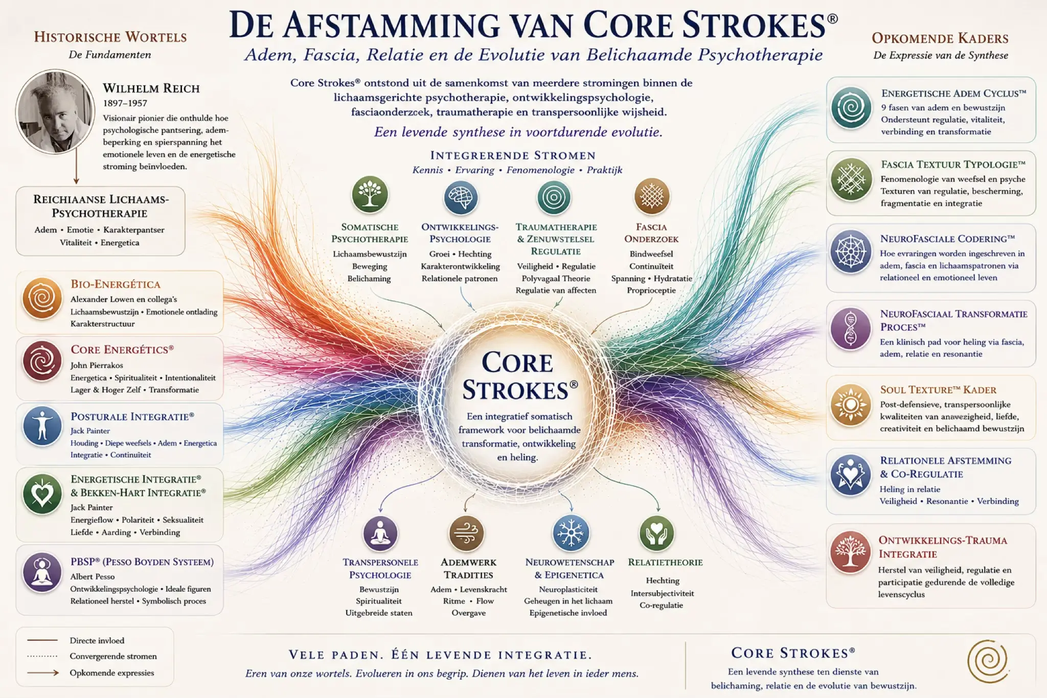Diagram van de afstamming van Core Strokes® vanuit Reichiaanse lichaamspsychotherapie, fasciaonderzoek, traumatherapie en ontwikkelingspsychologie.