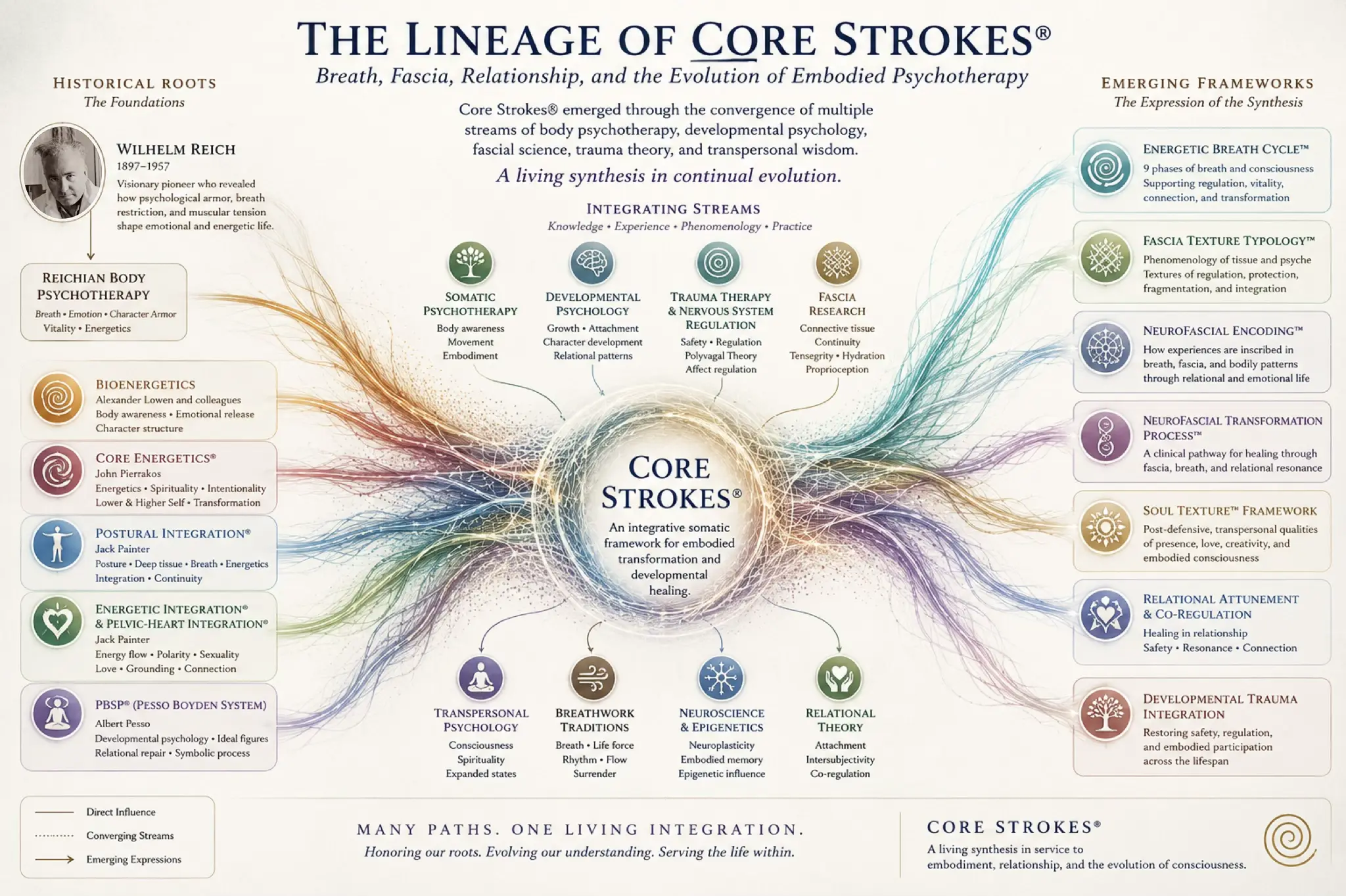 Diagram showing the lineage of Core Strokes® through Reichian body psychotherapy, fascia research, trauma therapy, developmental psychology, and somatic psychotherapy.