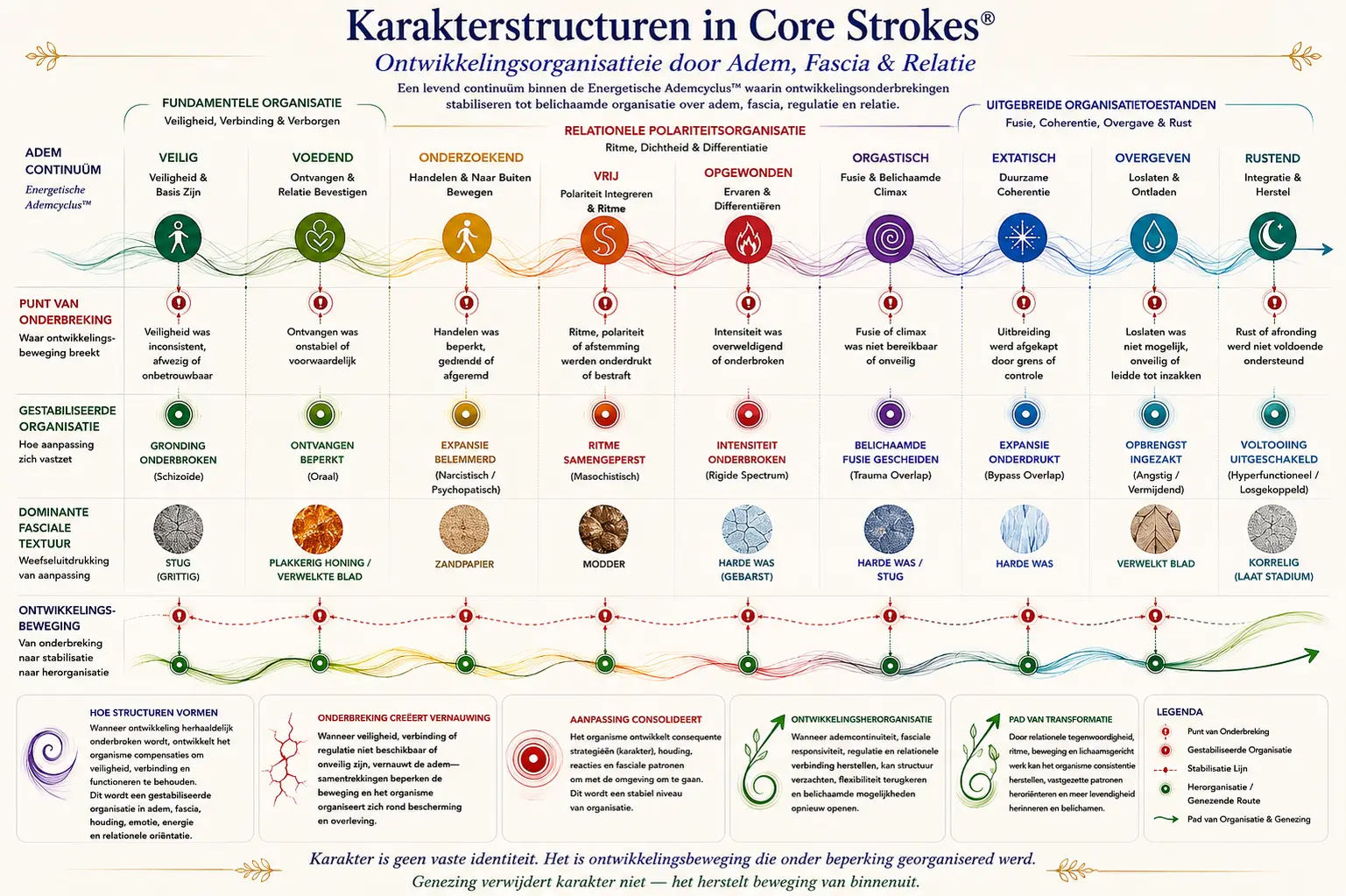 karakterstructuren-core-strokes-ontwikkelingskaart-nl Diagram van Karakterstructuren binnen Core Strokes® dat ontwikkelingsonderbrekingen, fasciale organisatie, ademcontinuïteit, relationele aanpassing en belichaamde regulatie toont binnen de Energetische Ademcyclus™.