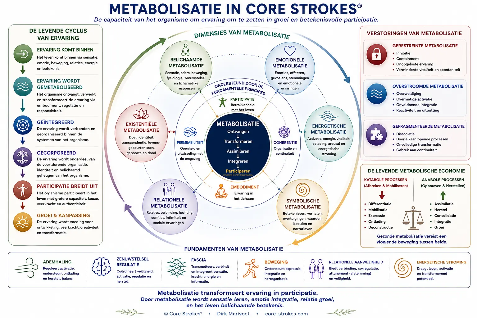 Metabolisatie binnen Core Strokes® die laat zien hoe ervaringen worden omgezet in integratie, groei, belichaming, coherentie en betekenisvolle participatie binnen somatische psychotherapie.