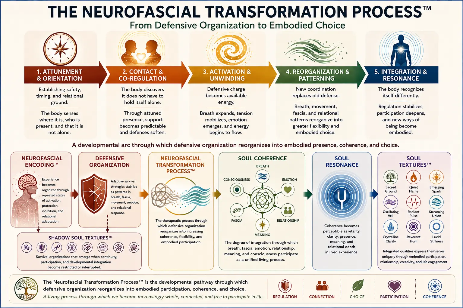 Neurofascial Transformation Process™ diagram illustrating somatic psychotherapy, trauma integration, breath regulation, fascia reorganization, soul coherence, soul resonance, and embodied transformation in the Core Strokes® framework.