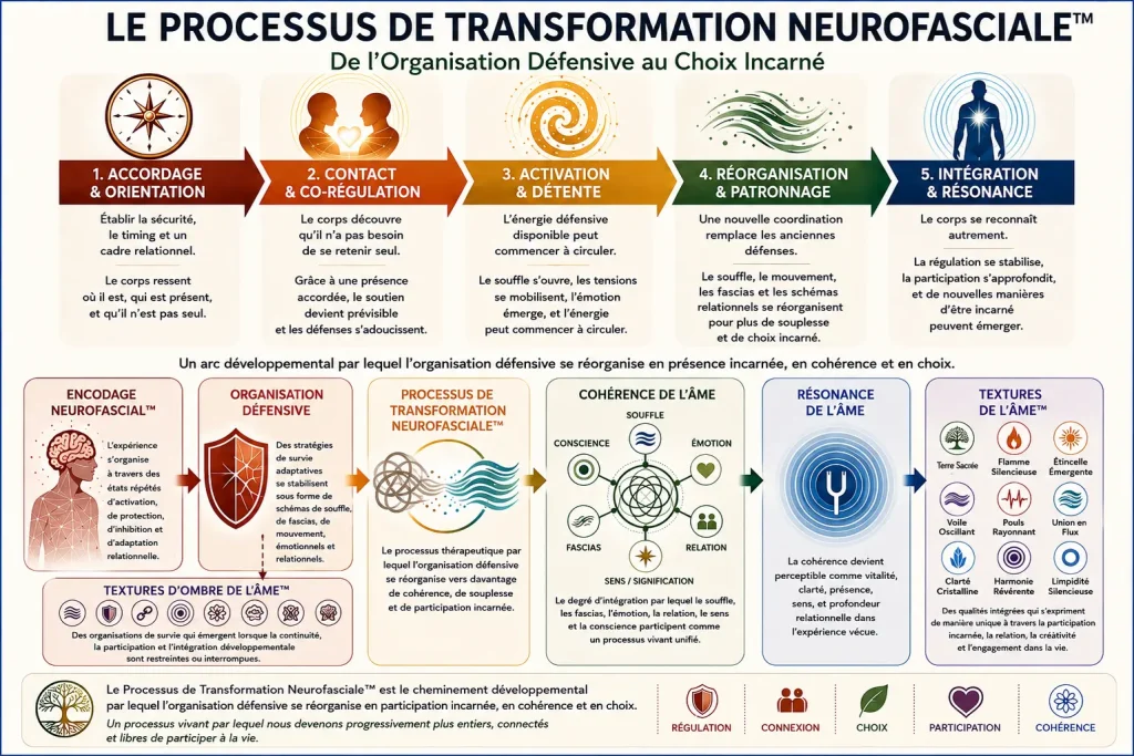 processus-transformation-neurofasciale-core-strokes-fr