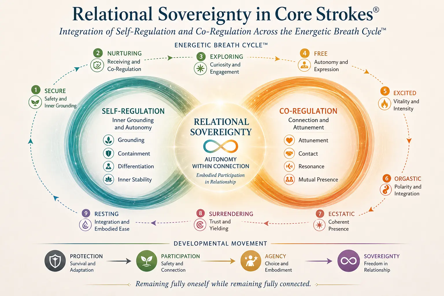 Diagram of Relational Sovereignty in Core Strokes® showing the integration of self-regulation and co-regulation across the Energetic Breath Cycle™, leading from protection and participation to agency, embodied autonomy, and freedom in relationship.