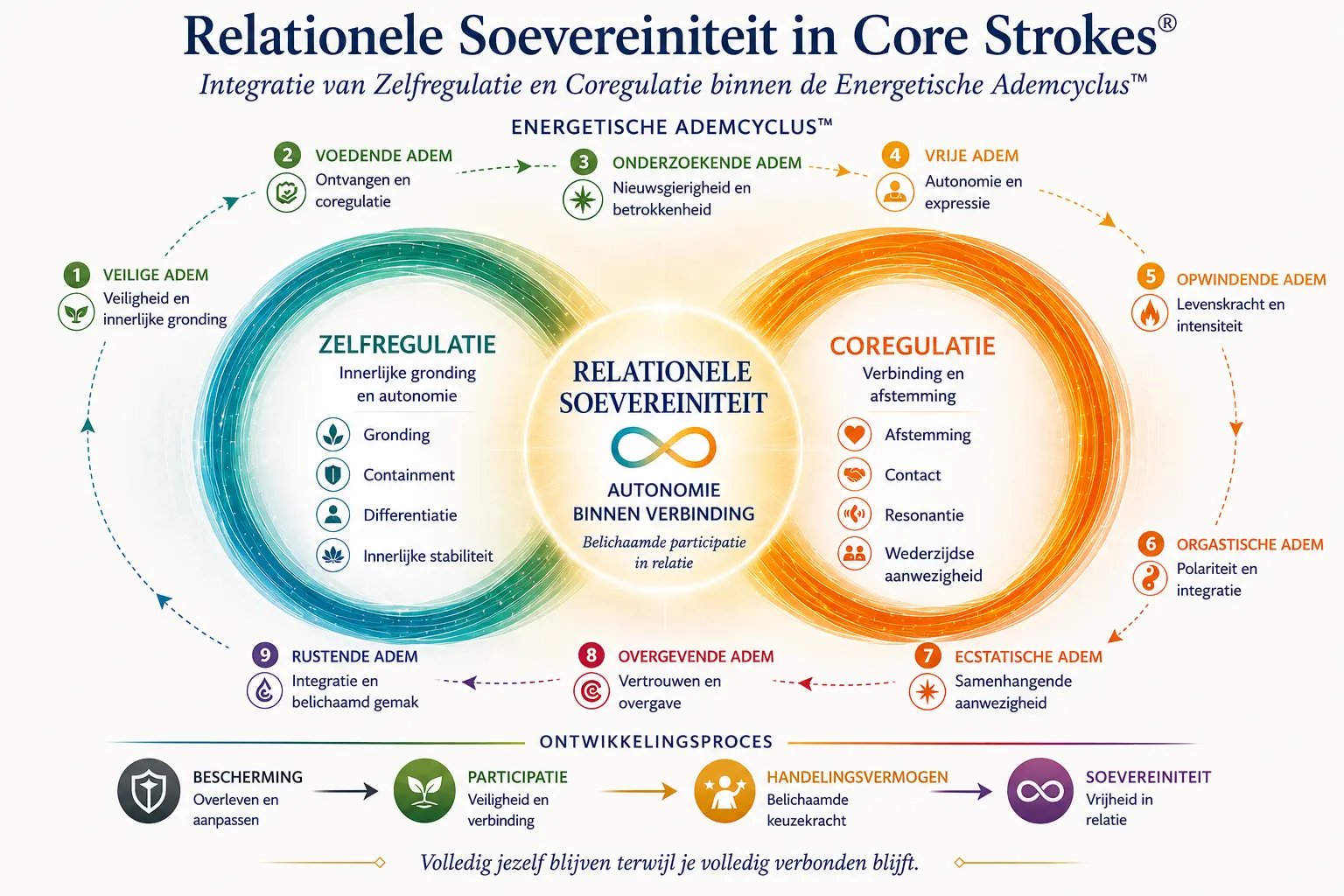 relationele-soevereiniteit-core-strokes-zelfregulatie-coregulatie Relationele Soevereiniteit binnen Core Strokes® toont de integratie van zelfregulatie en co-regulatie binnen de Energetische Ademcyclus™, waardoor belichaamde autonomie, emotionele regulatie en vrijheid in relatie mogelijk worden.