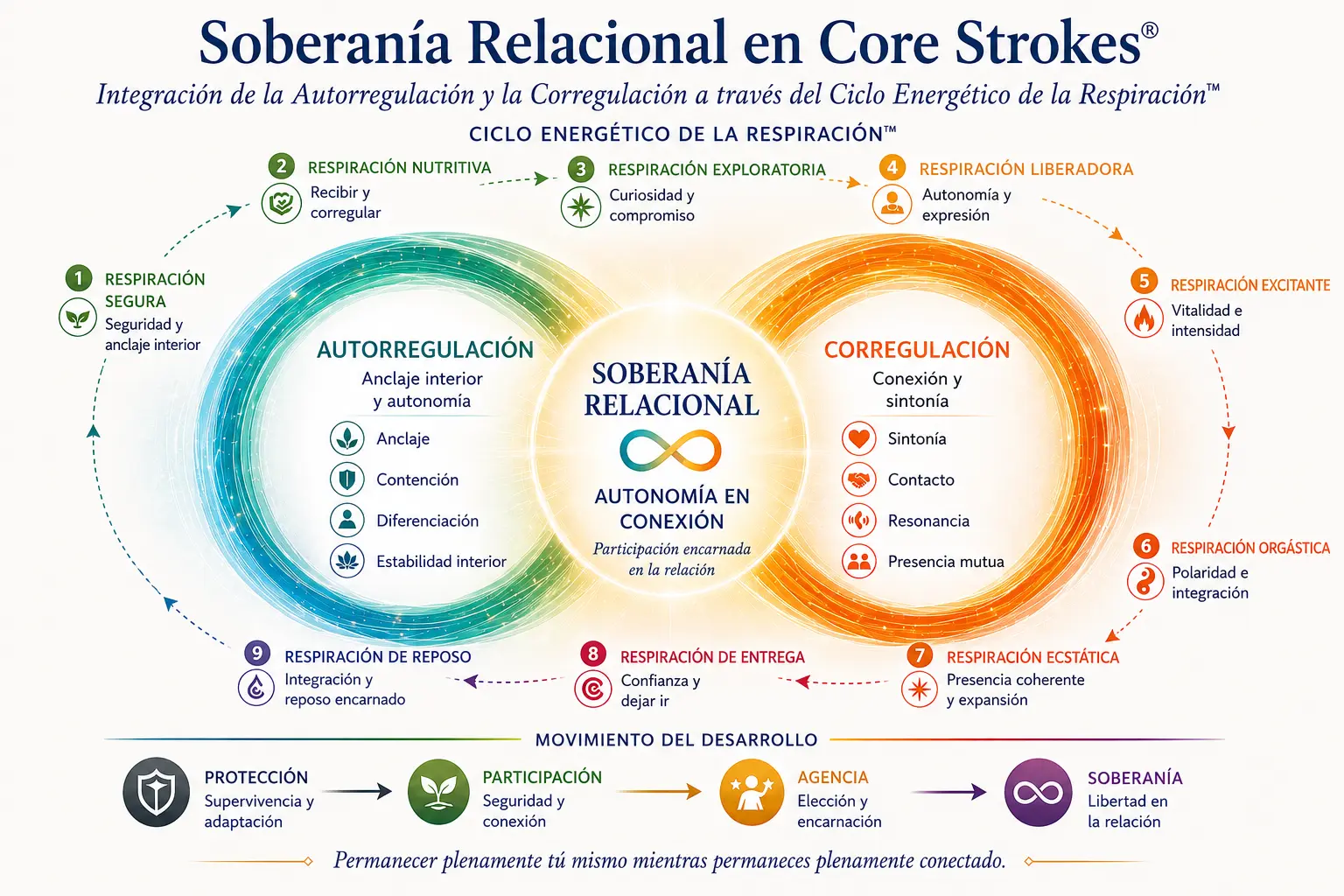 soberania-relacional-core-strokes-autorregulacion-corregulacion La Soberanía Relacional en Core Strokes® muestra la integración de la autorregulación y la corregulación a través del Ciclo Energético de la Respiración™, apoyando la autonomía encarnada, la regulación emocional y la libertad en la relación.