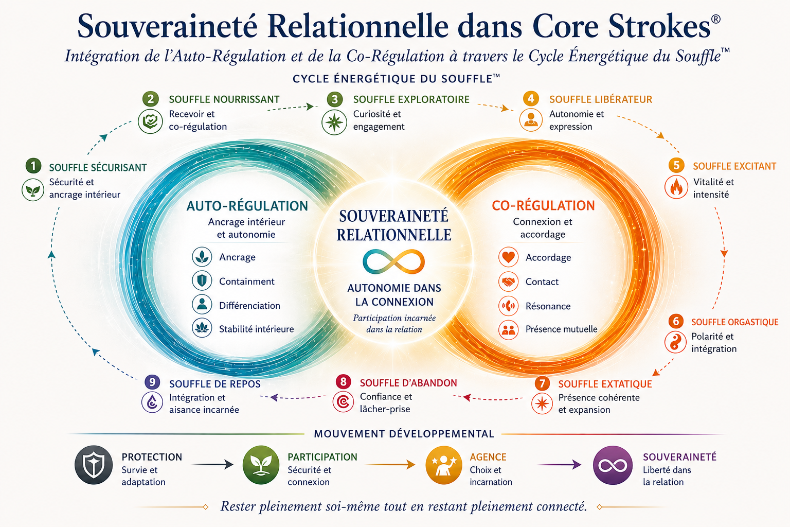 souverainete-relationnelle-core-strokes-auto-regulation-co-regulation La Souveraineté Relationnelle dans Core Strokes® illustre l’intégration de l’auto-régulation et de la co-régulation à travers le Cycle Énergétique du Souffle™, soutenant l’autonomie incarnée, la régulation émotionnelle et la liberté dans la relation.