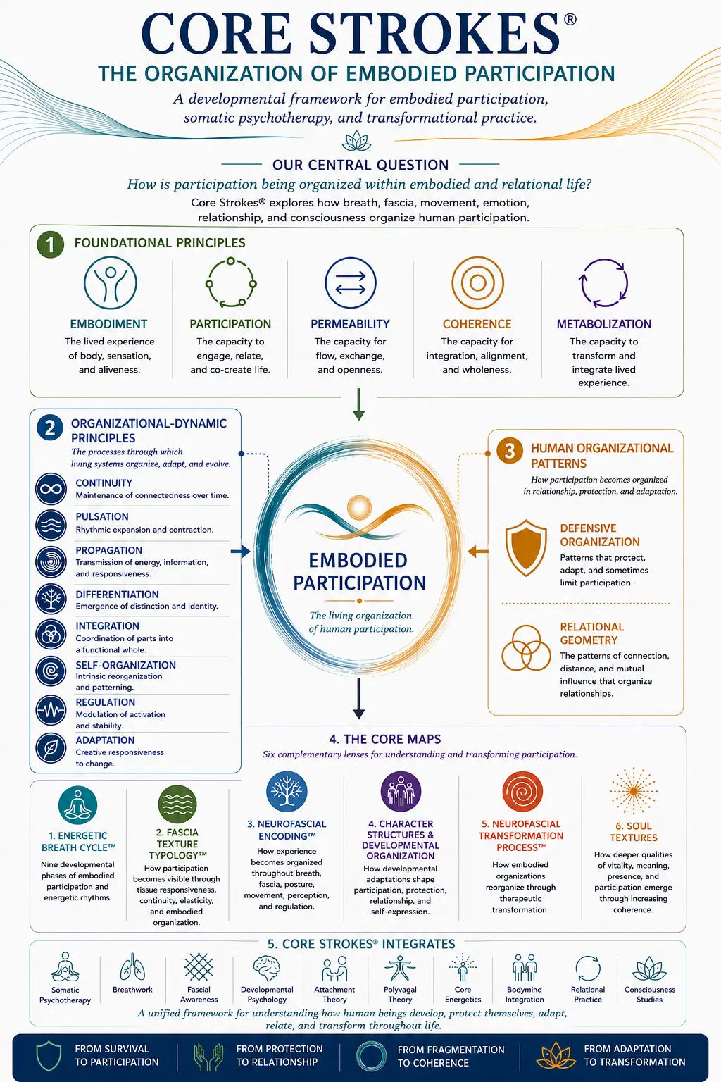 core-strokes-framework-organization-of-embodied-participation Diagram of the Core Strokes® framework showing the Organization of Embodied Participation, including the foundational principles, organizational-dynamic principles, human organizational patterns, Energetic Breath Cycle™, Fascia Texture Typology™, Neurofascial Encoding™, Neurofascial Transformation Process™, Character Structures, and Soul Textures.