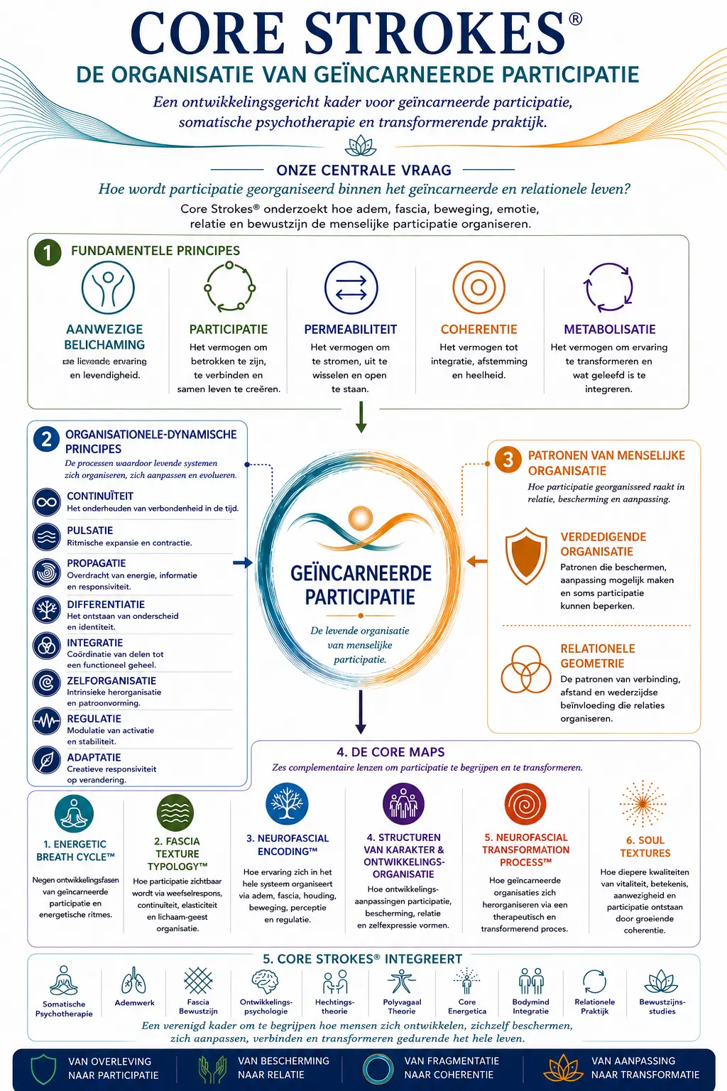 Core Strokes® – De Organisatie van Geïncarneerde Participatie Diagram van het Core Strokes®-kader dat de Organisatie van Geïncarneerde Participatie toont, inclusief de fundamentele principes, organisatie-dynamische principes, patronen van menselijke organisatie en de zes kernkaarten die gebruikt worden binnen de somatische psychotherapie en belichaamde transformatie.