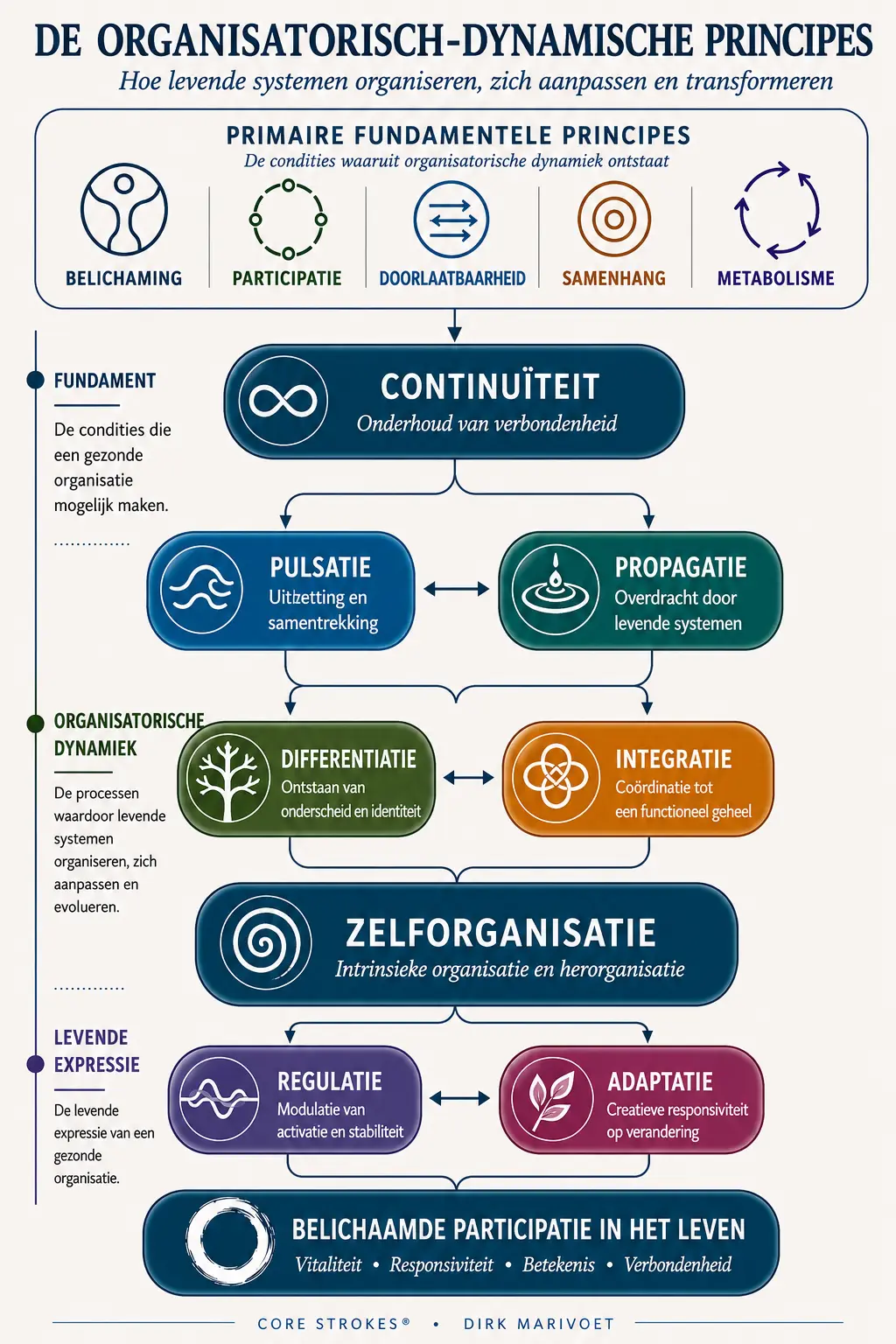Diagram van de Organisatorisch-Dynamische Principes binnen Core Strokes®, met continuïteit, pulsatie, propagatie, differentiatie, integratie, zelforganisatie, regulatie en adaptatie.